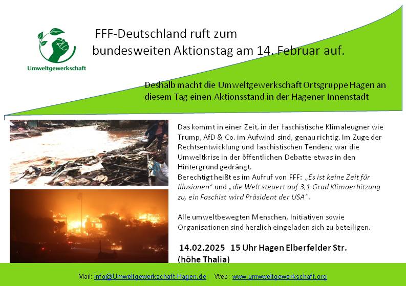 Flyer Aktionsstand 14.2. zu FFF UG Hagen