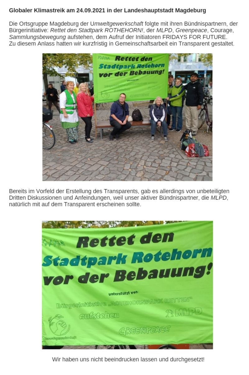 20210924 Klimastreik Magdeburg 800a