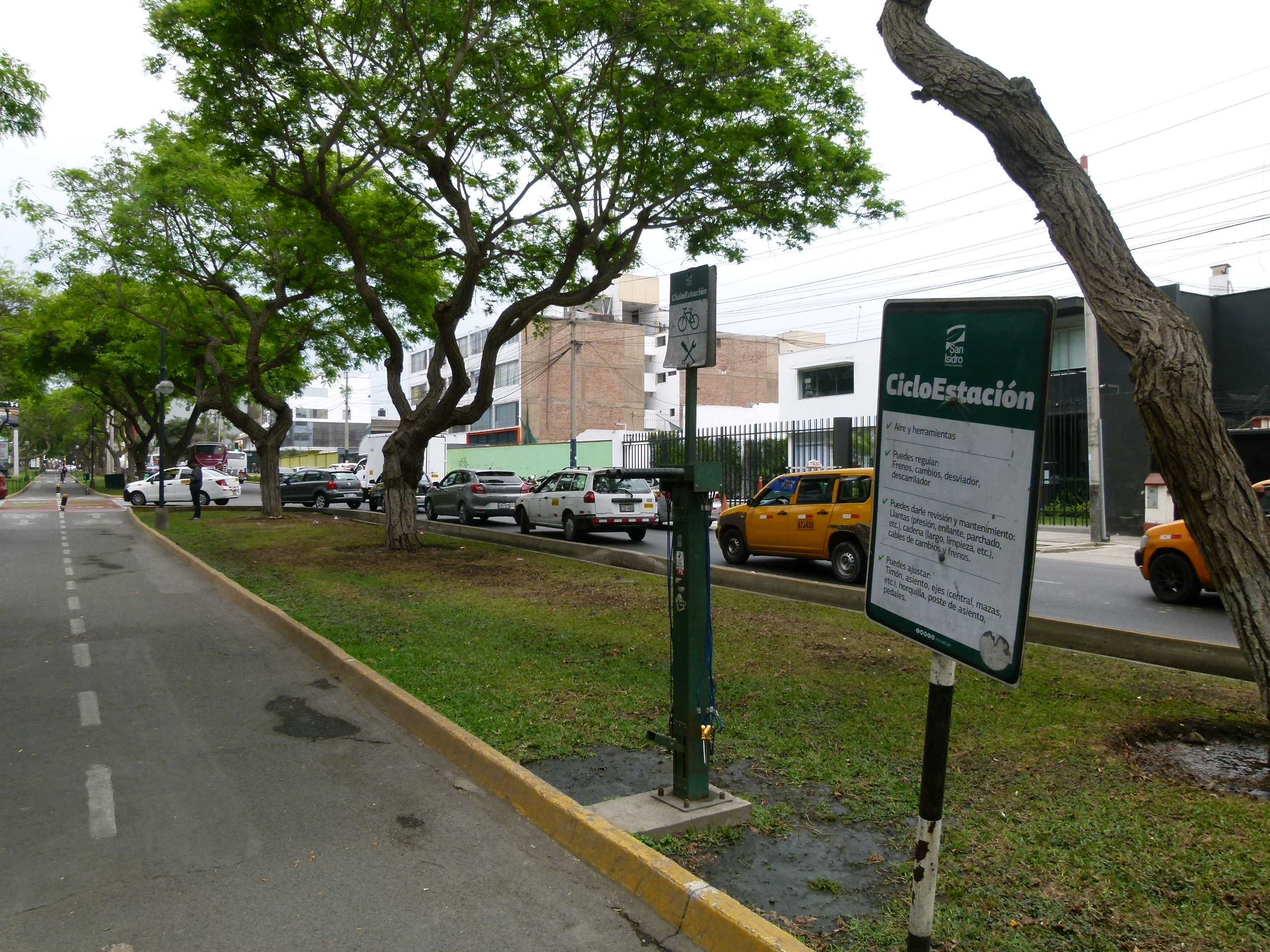 Lima grün3