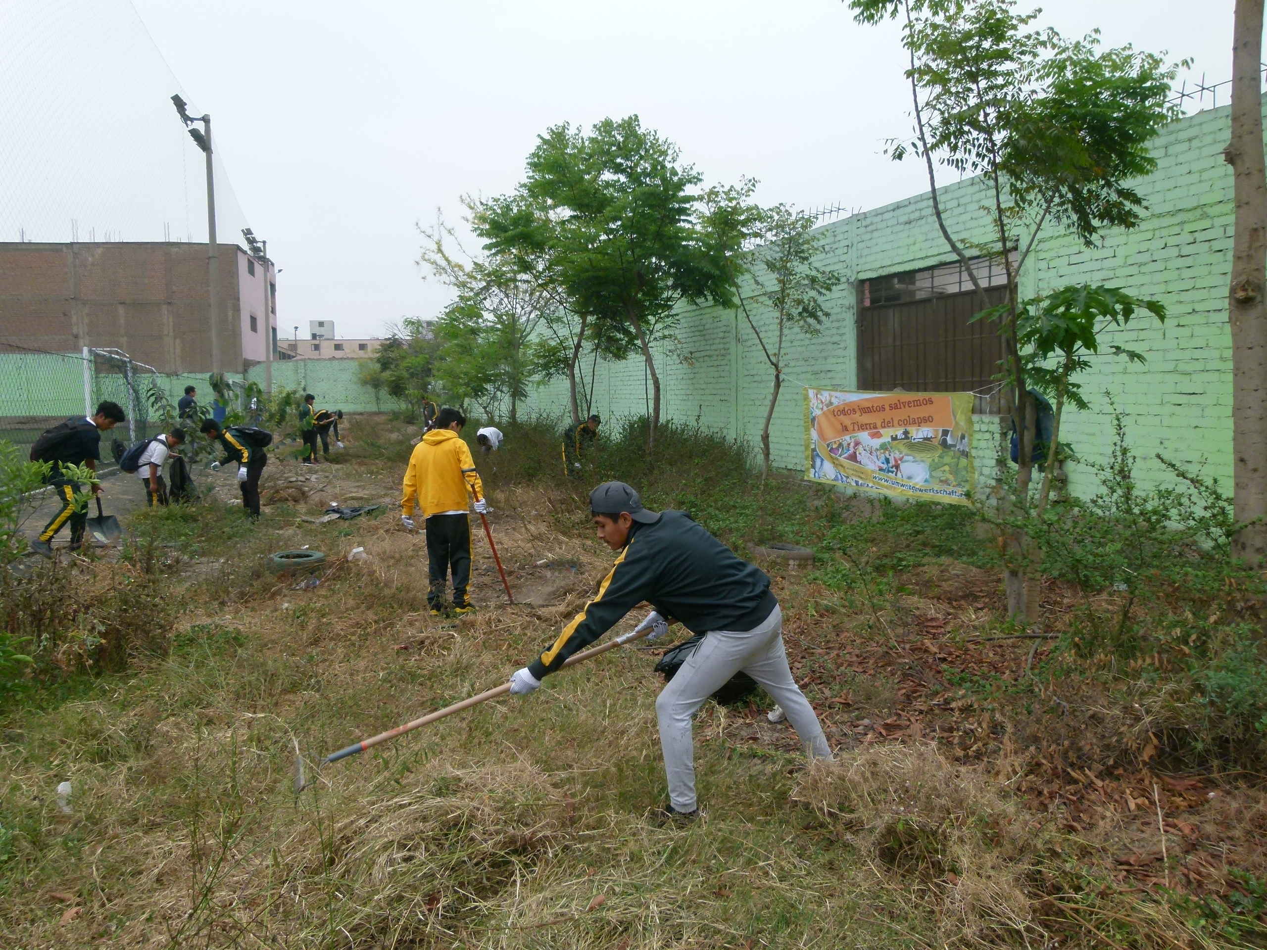 Lima Baumgartenpflege 01