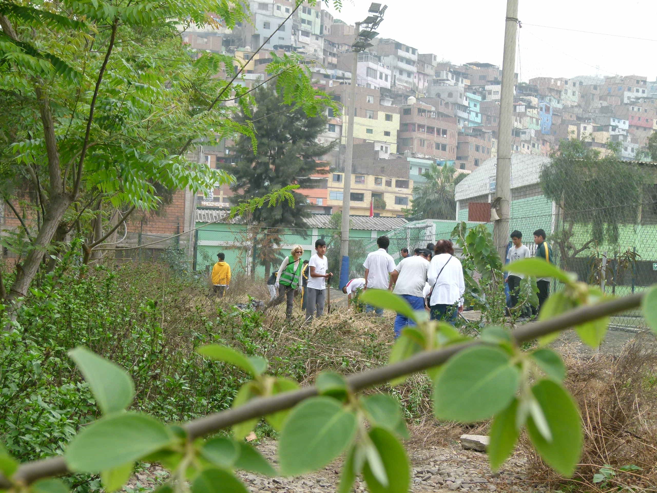 Lima Baumgartenpflege 03