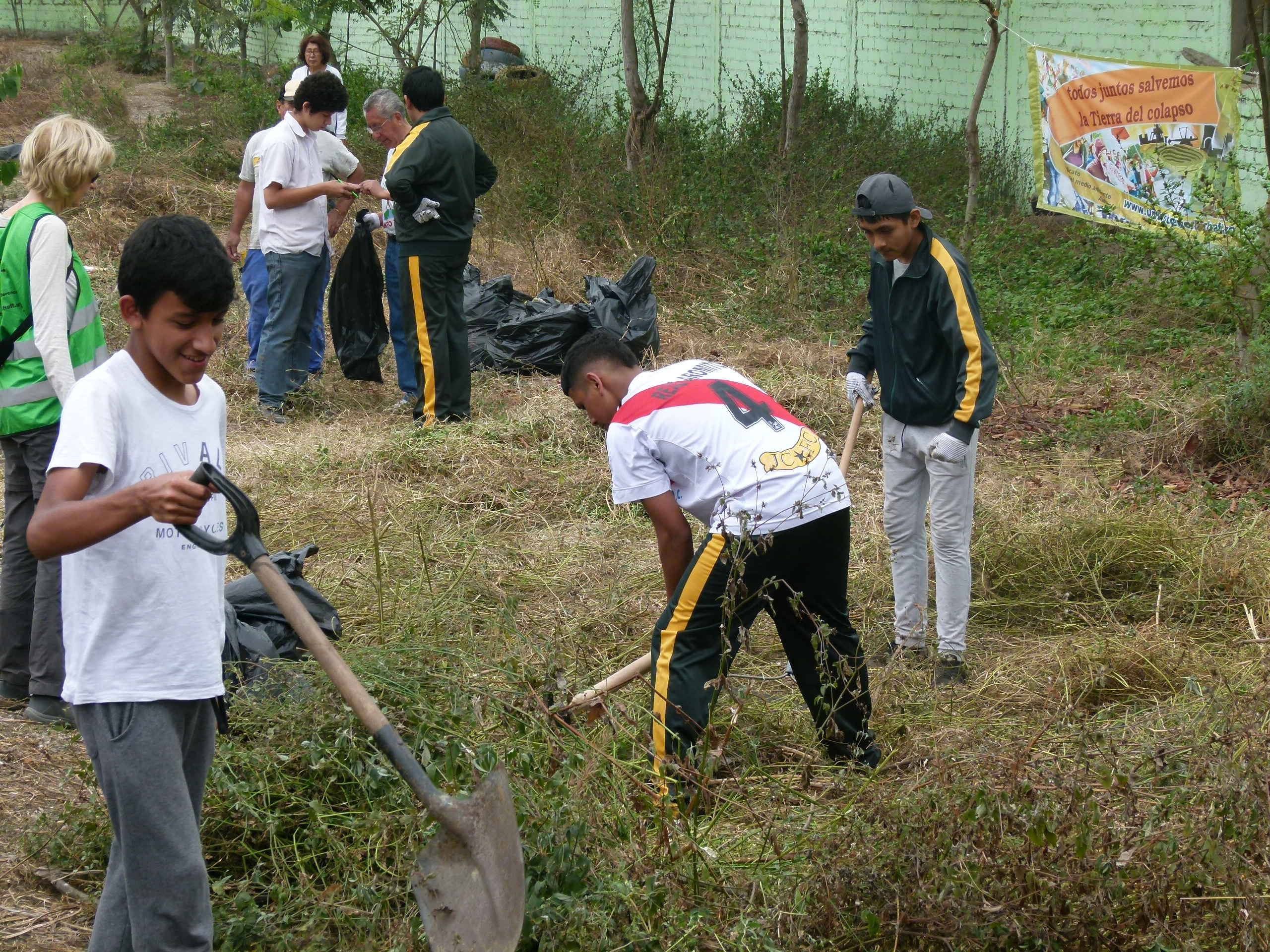 Lima Baumgartenpflege 04