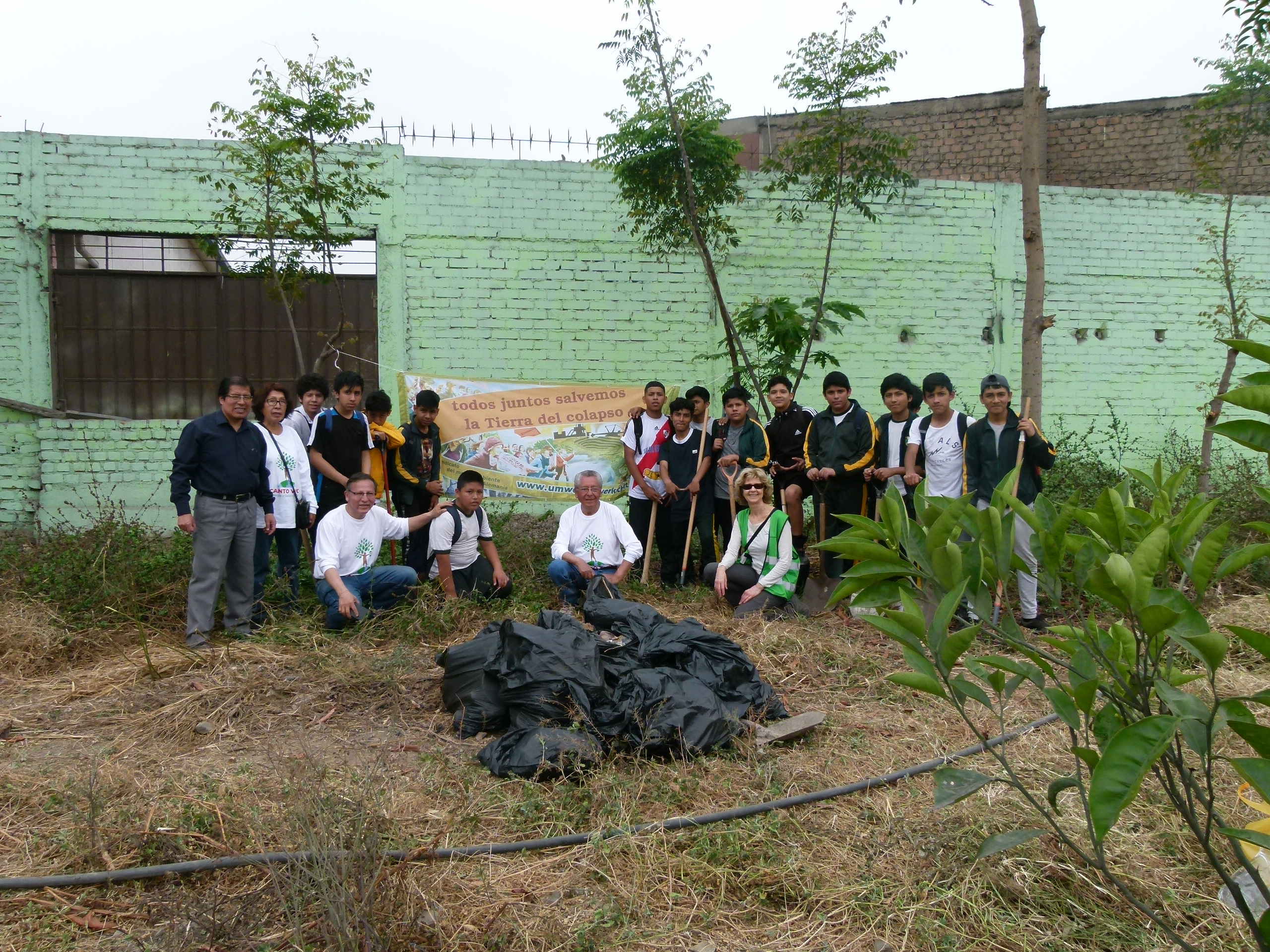 Lima Baumgartenpflege 06