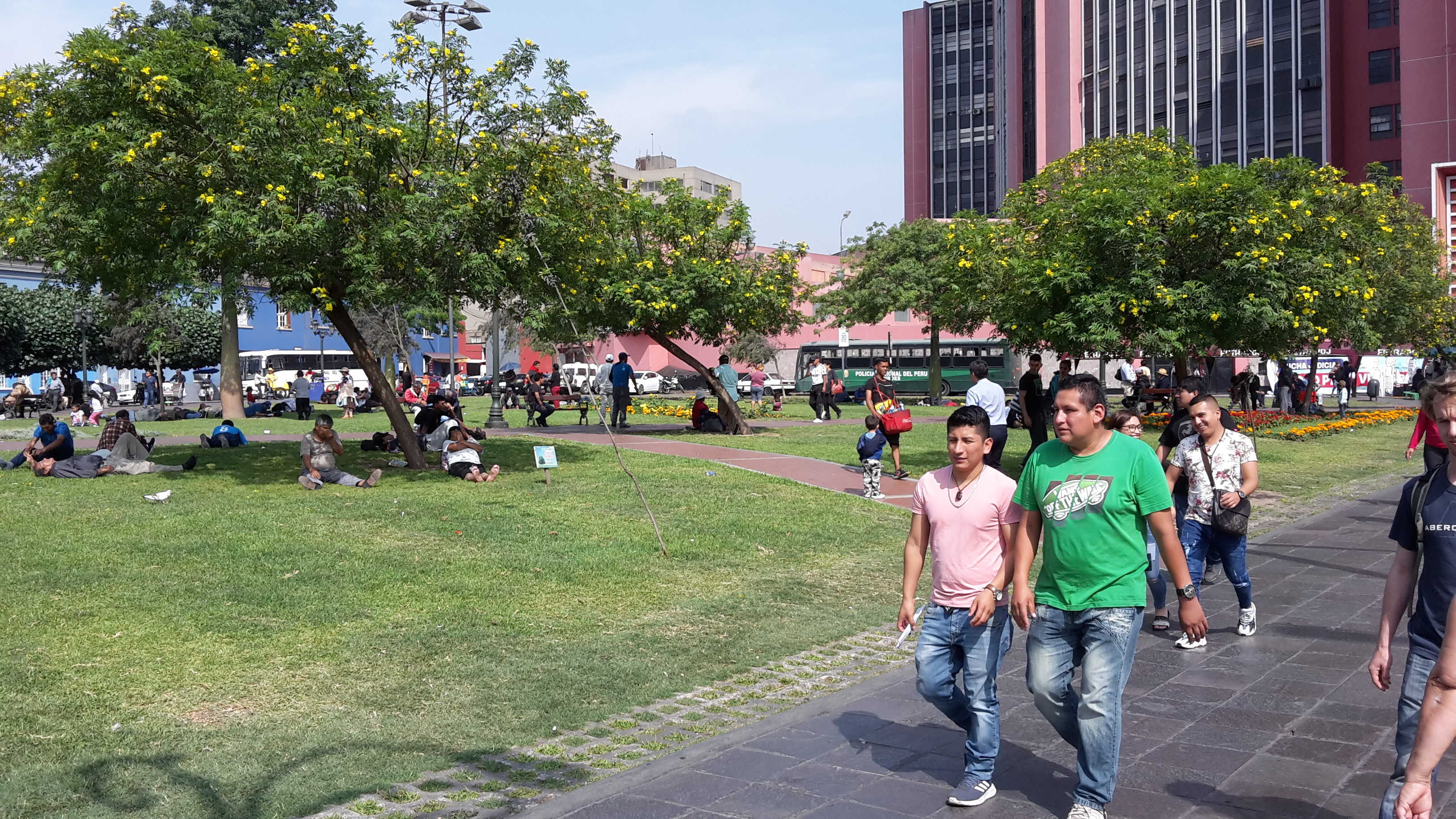Lima Parknickerchen