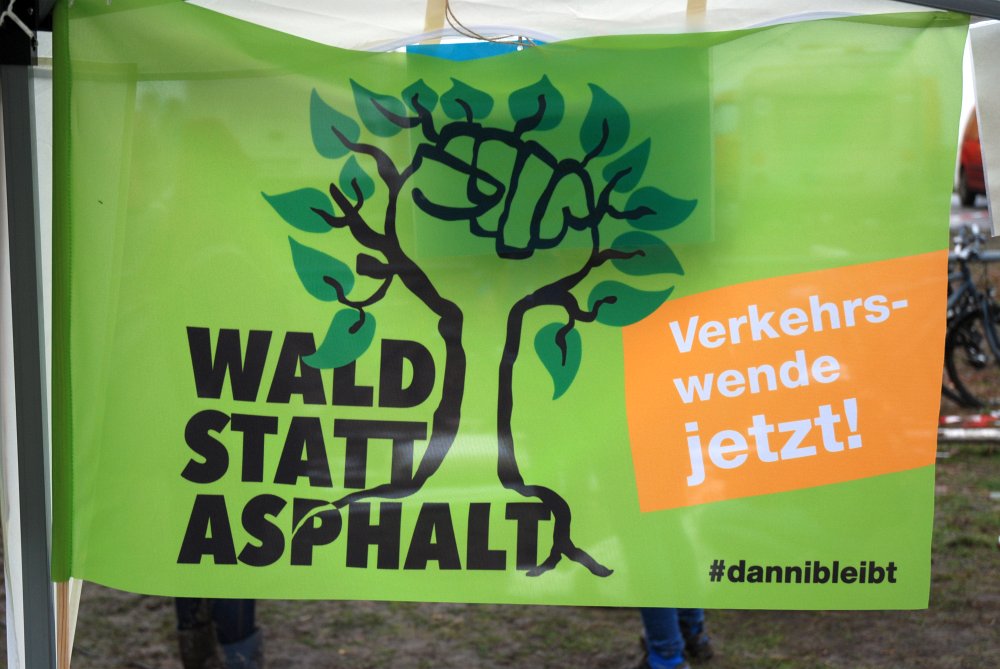 Dannenroeder Wald DSC 0021
