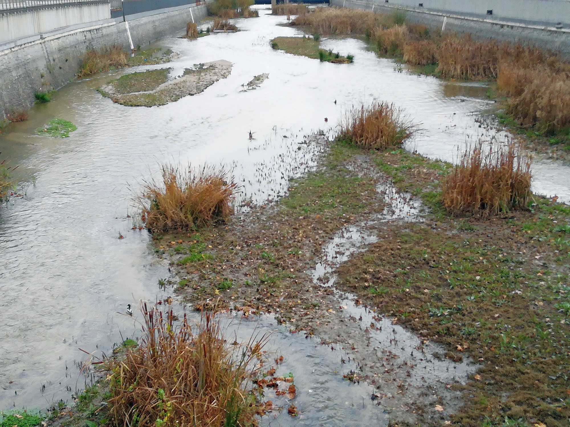 Rio Manzanares Madrid 04 12 2019
